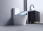 Back to Wall Smart Toilets with feminine wash