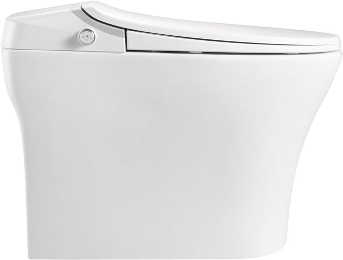 Hygienic & Eco-Friendly Smart Toilet