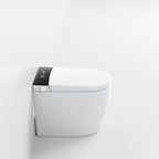 In-Wall Tank Design Smart Toilet