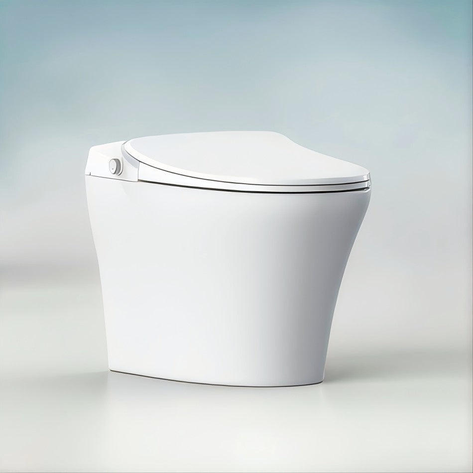 Smart Toilet - tankless syphonic flushing system