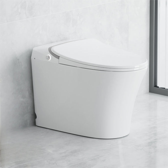 tankless smart toilet​