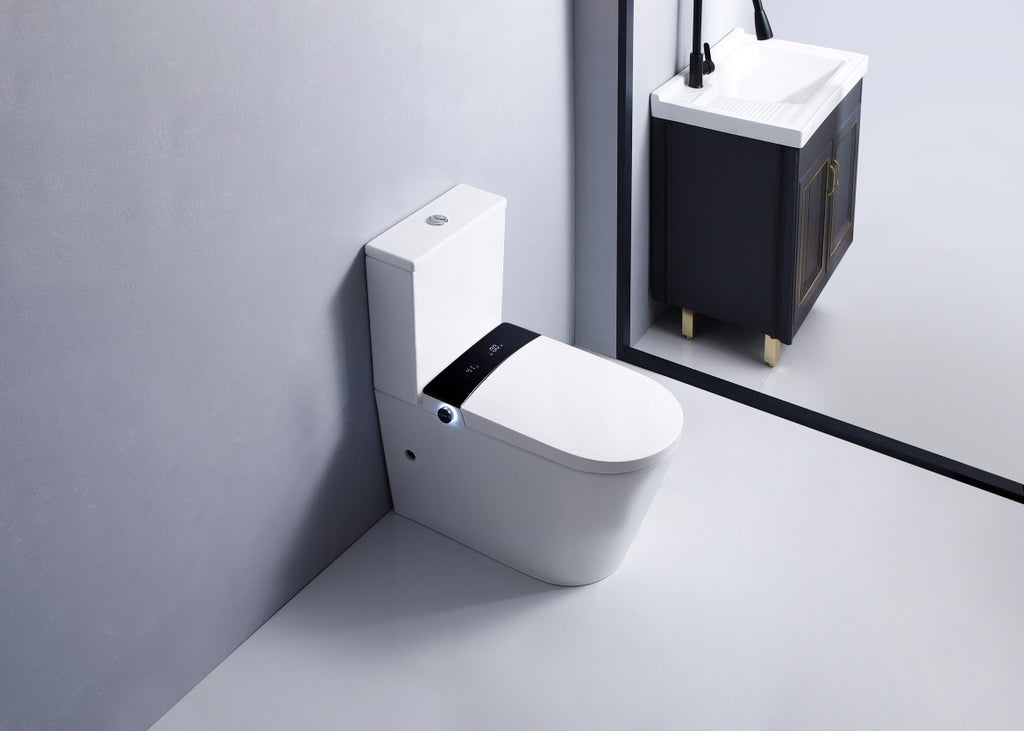 back to wall smart toilet​

