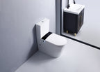 back to wall smart toilet​

